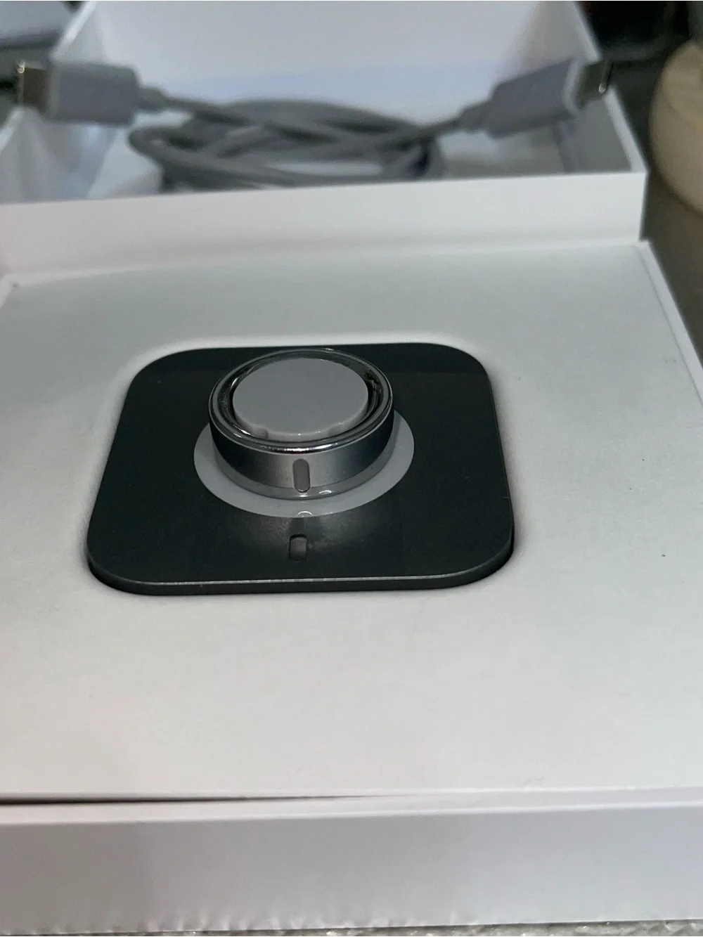 Oura Ring 4 / Charger USB-C Cable in silver/Gray